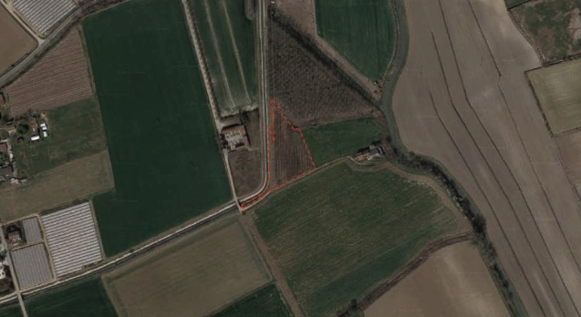 SORGA' (VR) - TERRENO AGRICOLO IN ASTA IN VIA DELLA GIARA