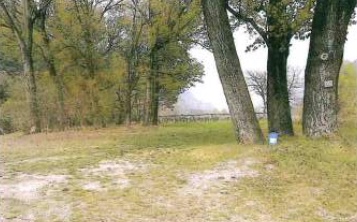 DOLCÈ (VR) TERRENI BOSCHIVI IN ASTA IN FRAZIONE CERAINO