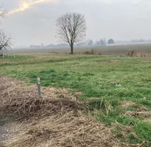 BONAVIGO (VR) TERRENO EDIFICABILE IN ASTA IN VIA OBER HILBERSHEIM