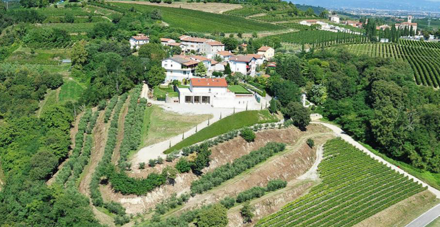 SOMMACAMPAGNA (VR) CANTINA VITIVINICOLA CON ABITAZIONE IN ASTA IN VIA VALLE MOLINI