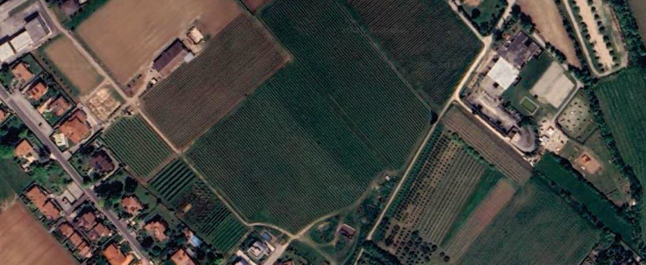 PESCANTINA (VR) FONDO RUSTICO IN ASTA IN VIA PIGNO