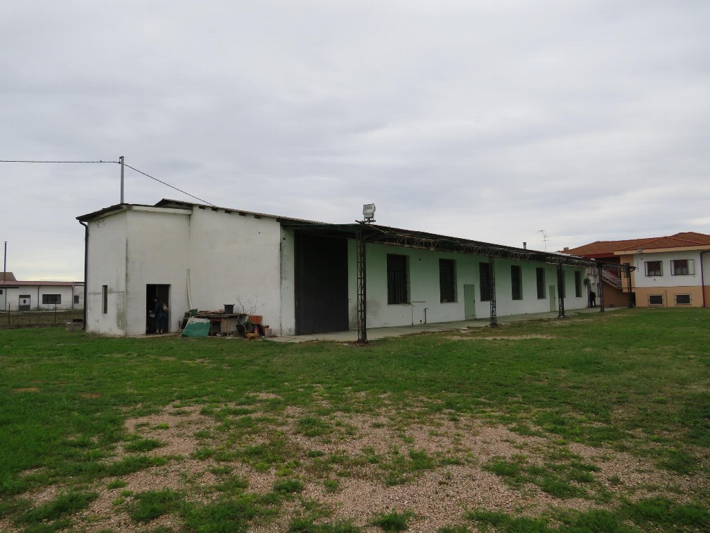 CEREA (VR) LABORATORIO IN ASTA VIA OPPIOLI 24A