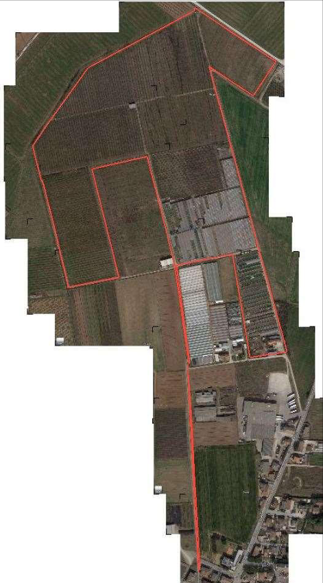 VILLAFRANCA DI VERONA (VR) FONDO RUSTICO CON DEPOSITI IN ASTA IN STRADA LA RIZZA