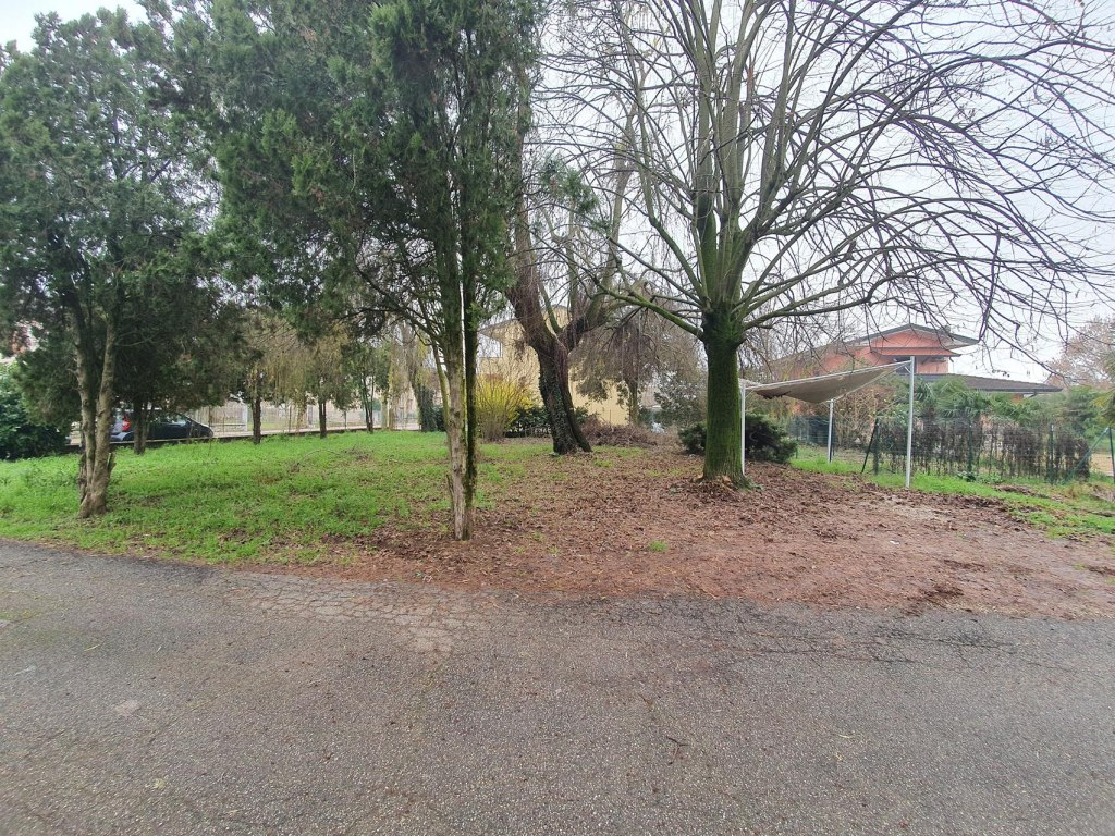 SAN PIETRO DI MORUBIO (VR) LOTTO EDIFICABILE IN ASTA IN VIA ALCIDE DE GASPERI